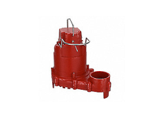 Placeholder Image-4