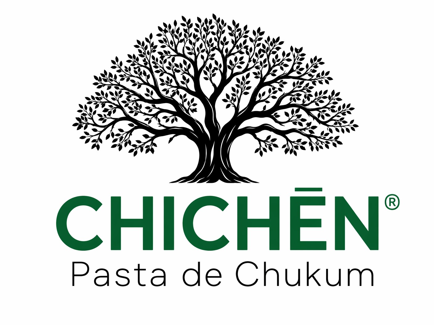 Logo2026