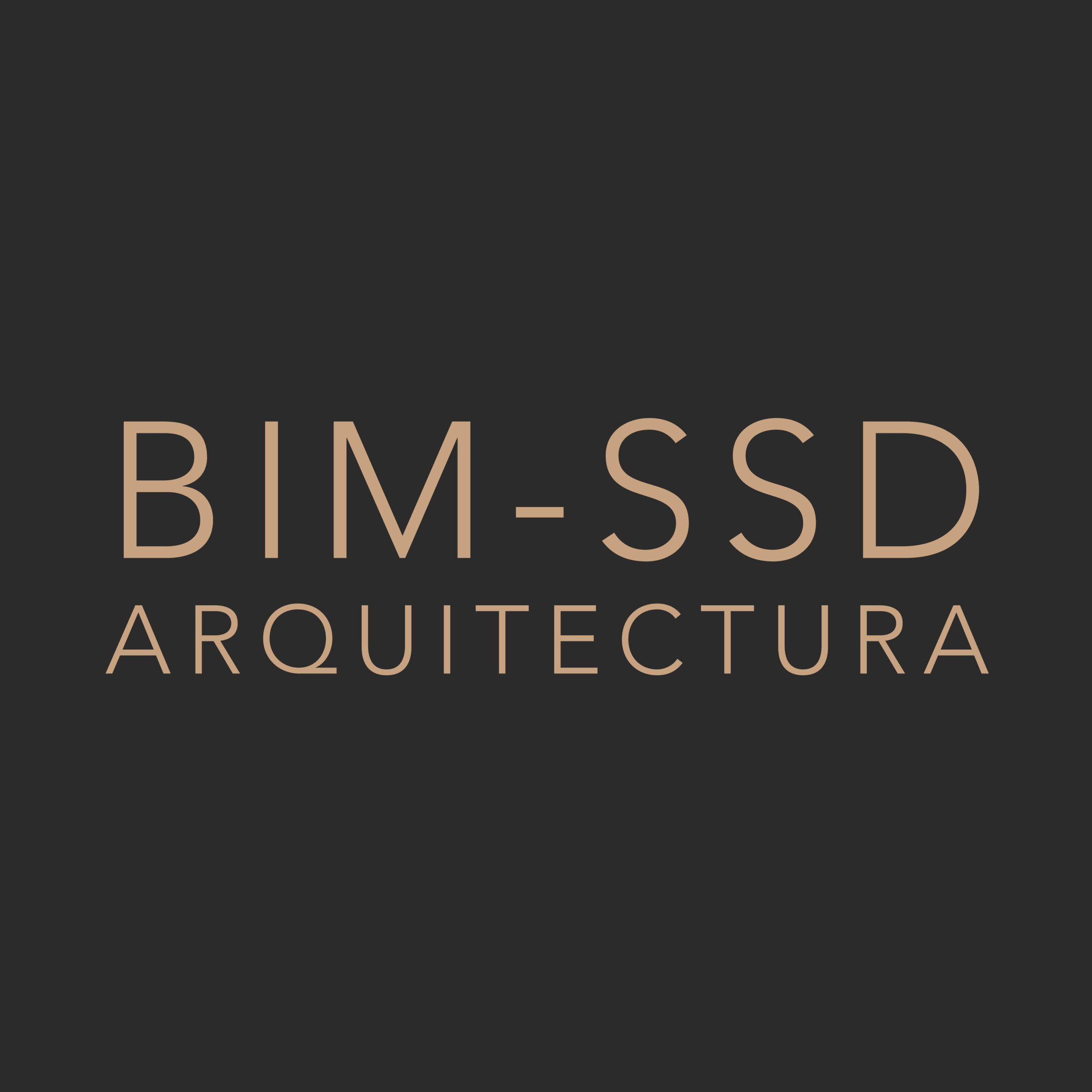 BIM-SSD-LOGO-INST