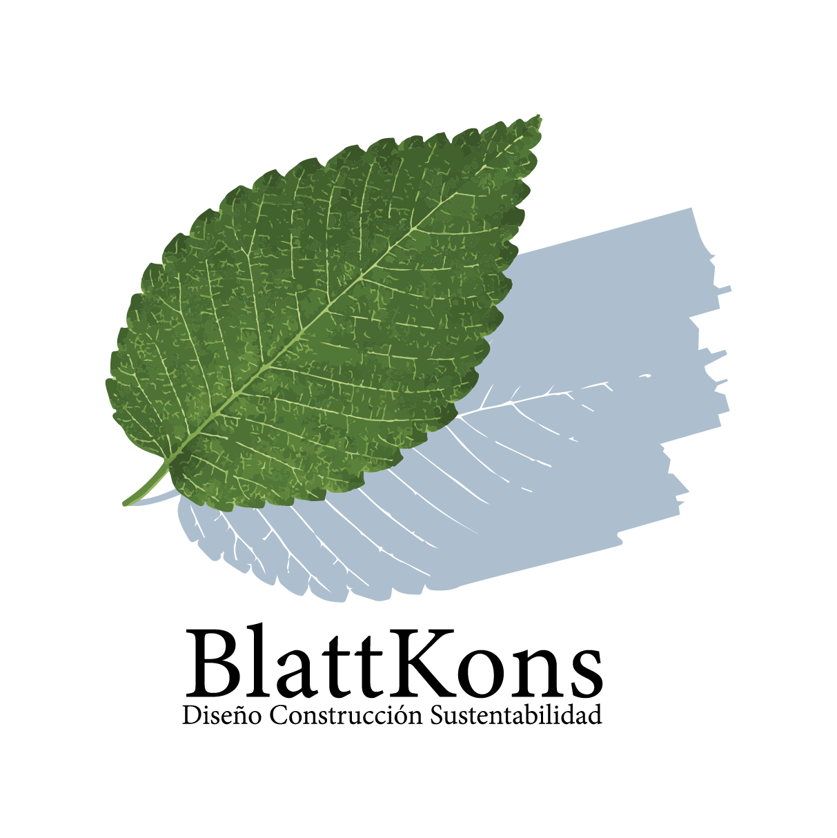 BlattKons-3