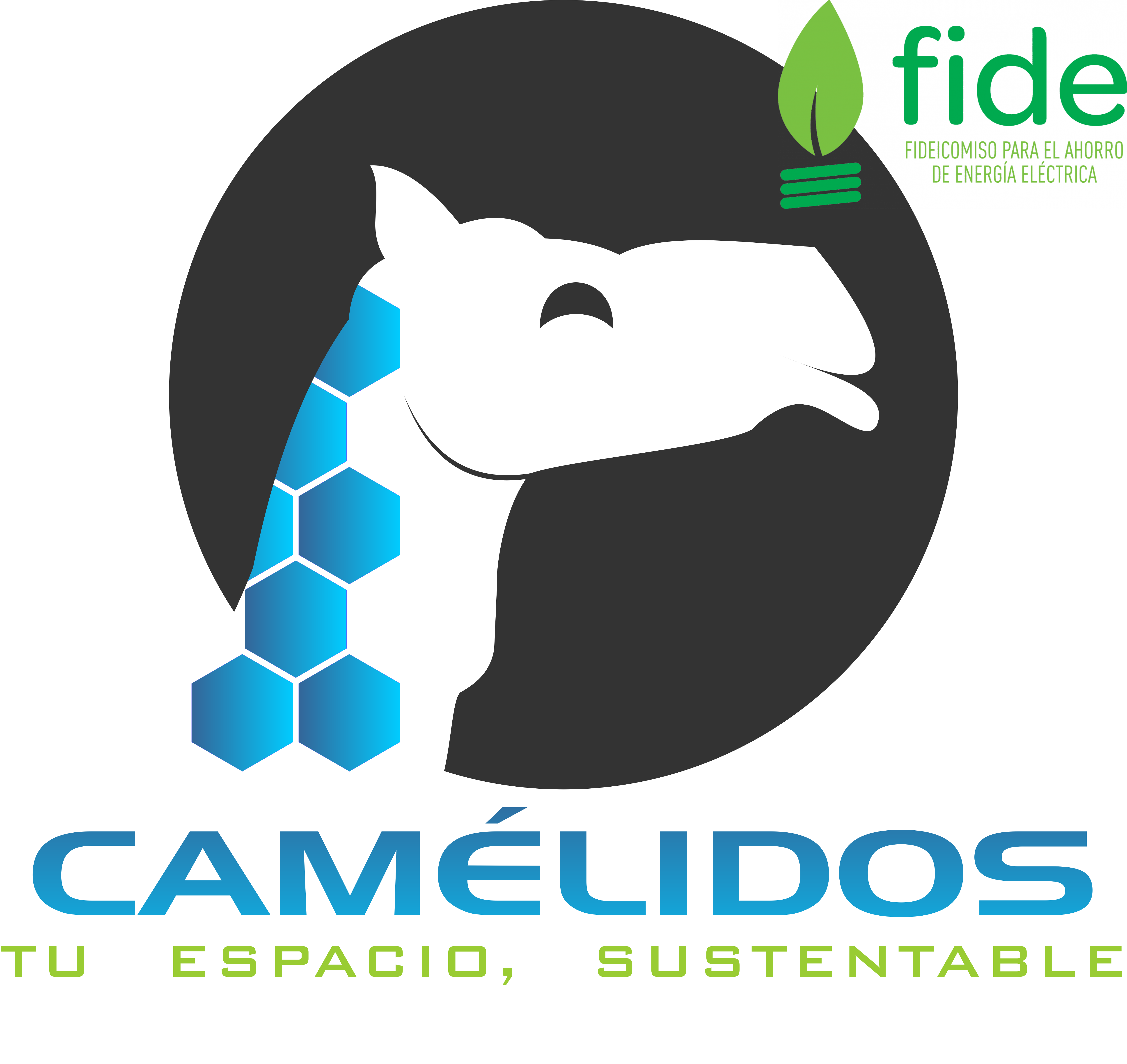 CA-IG-2016-Cuadro-Slogan-FIDE