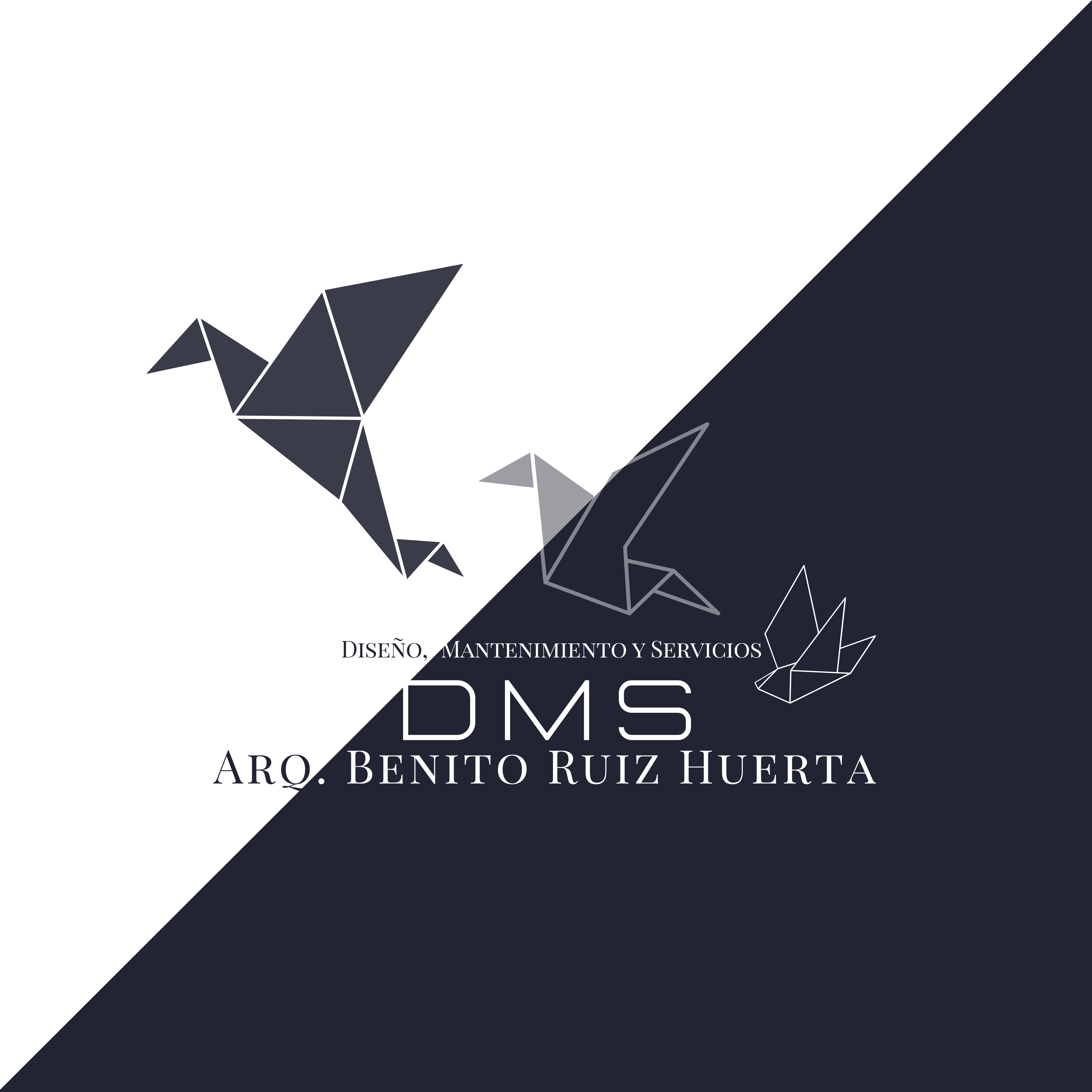 DMS_Logo