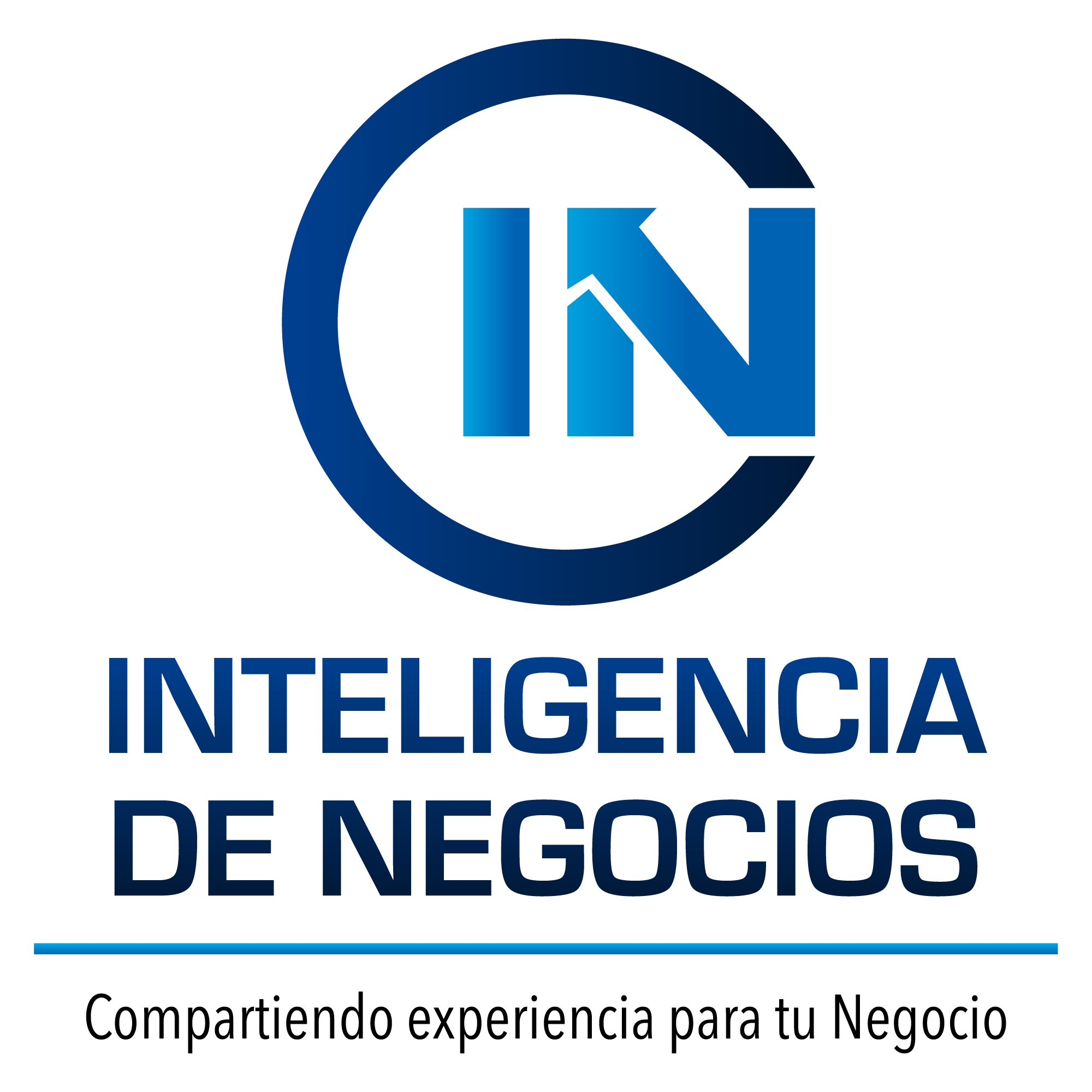 IDNlogo-copia