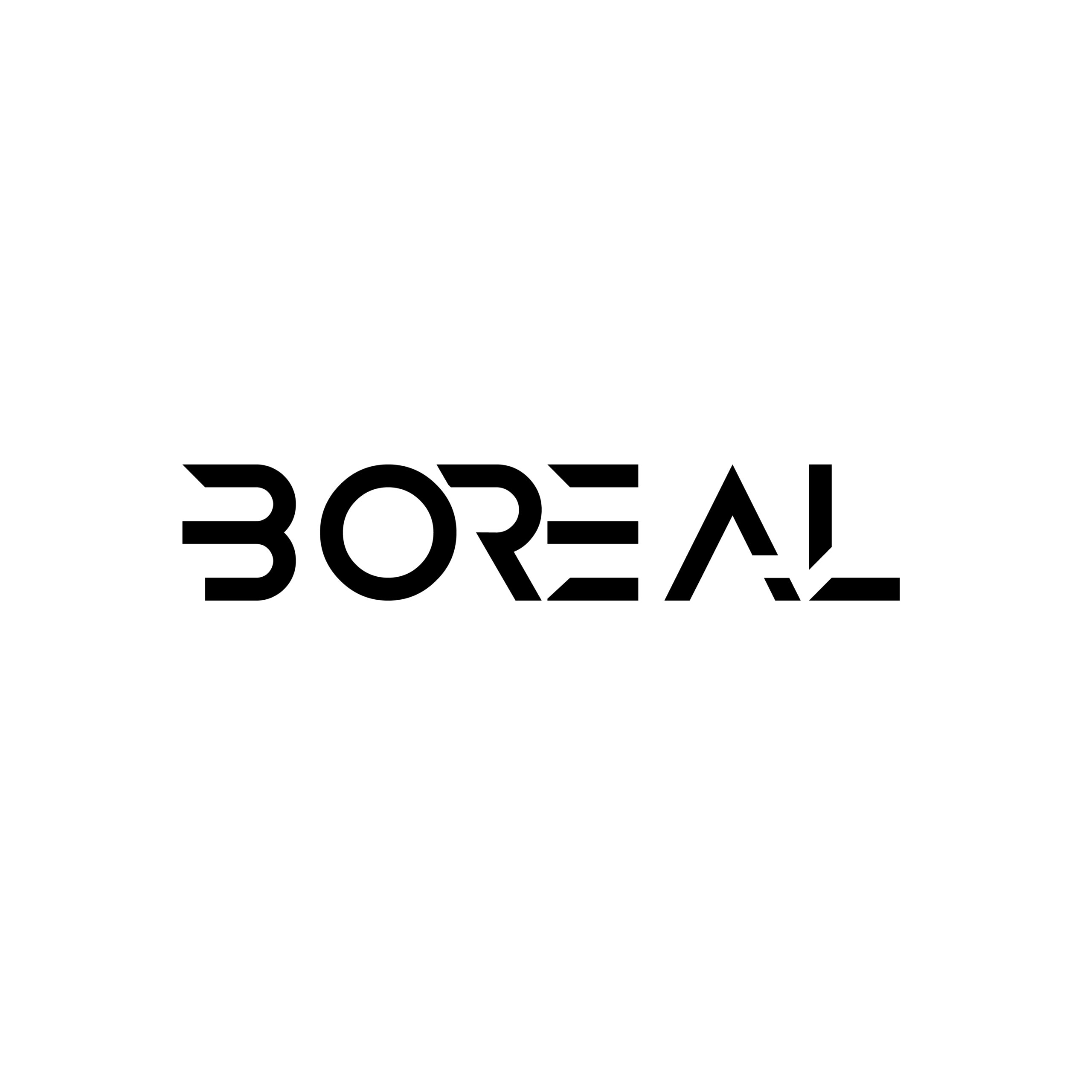 LOGO2022BOREAL-01