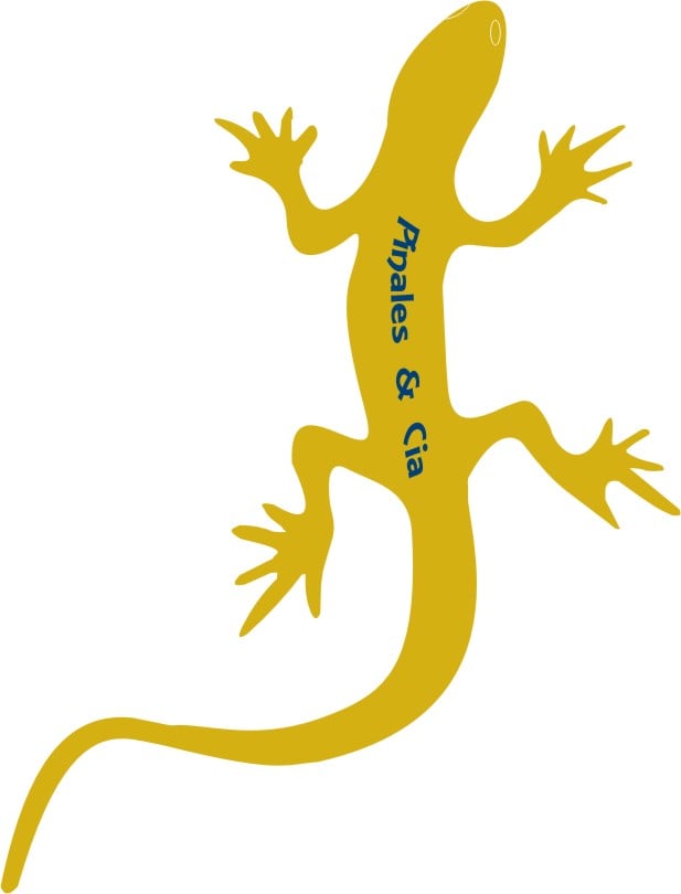 Lagartija_yellow