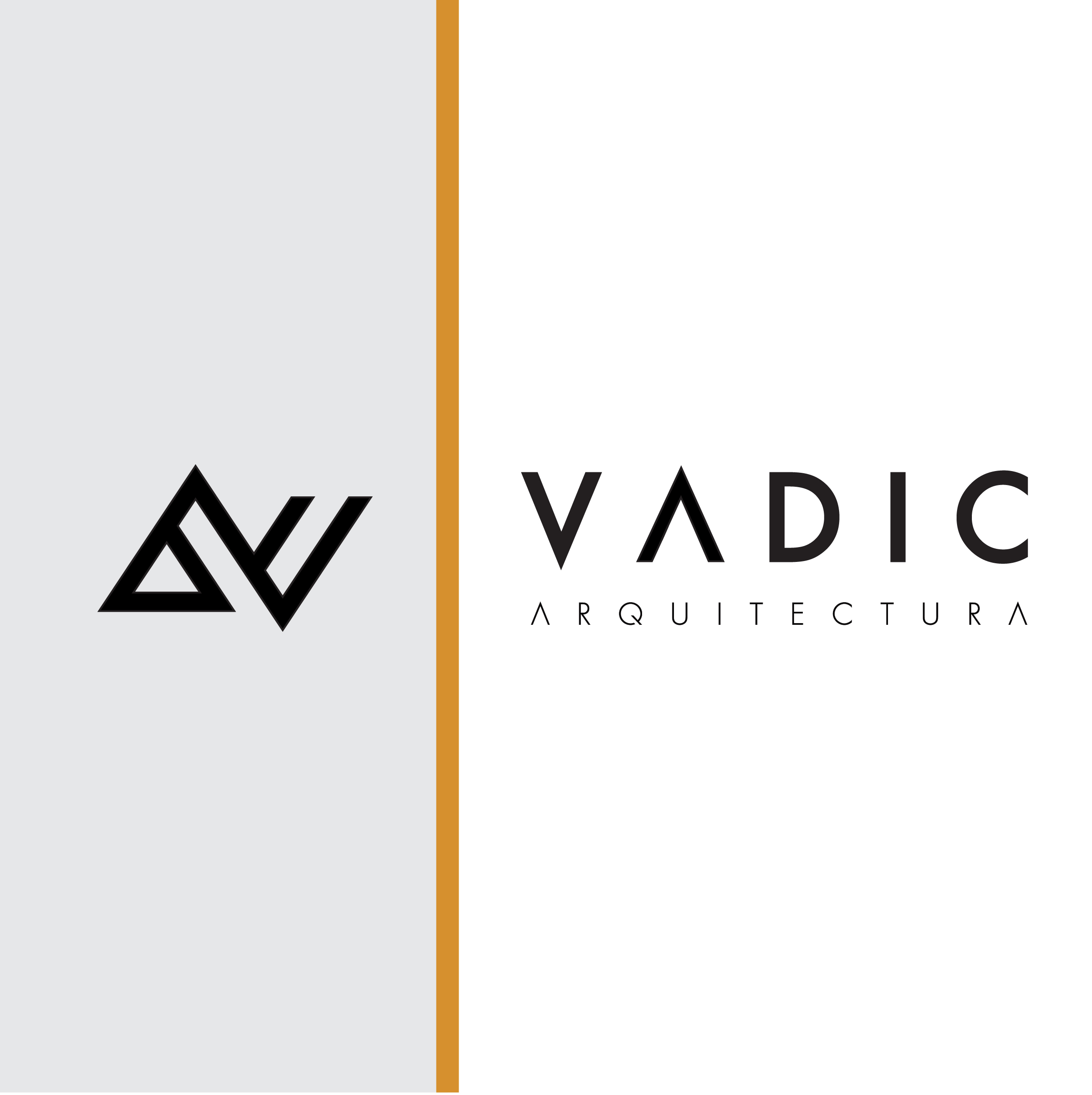 Vadic-logo