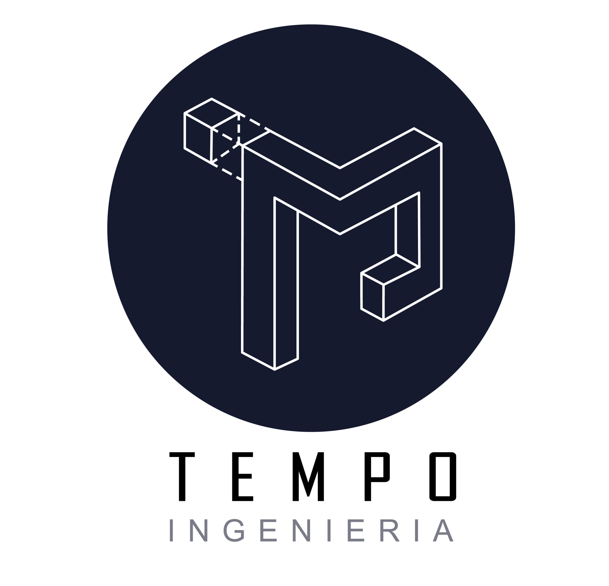 Versiones-de-Logo-TEMPO_Mesa-de-trabajo-1