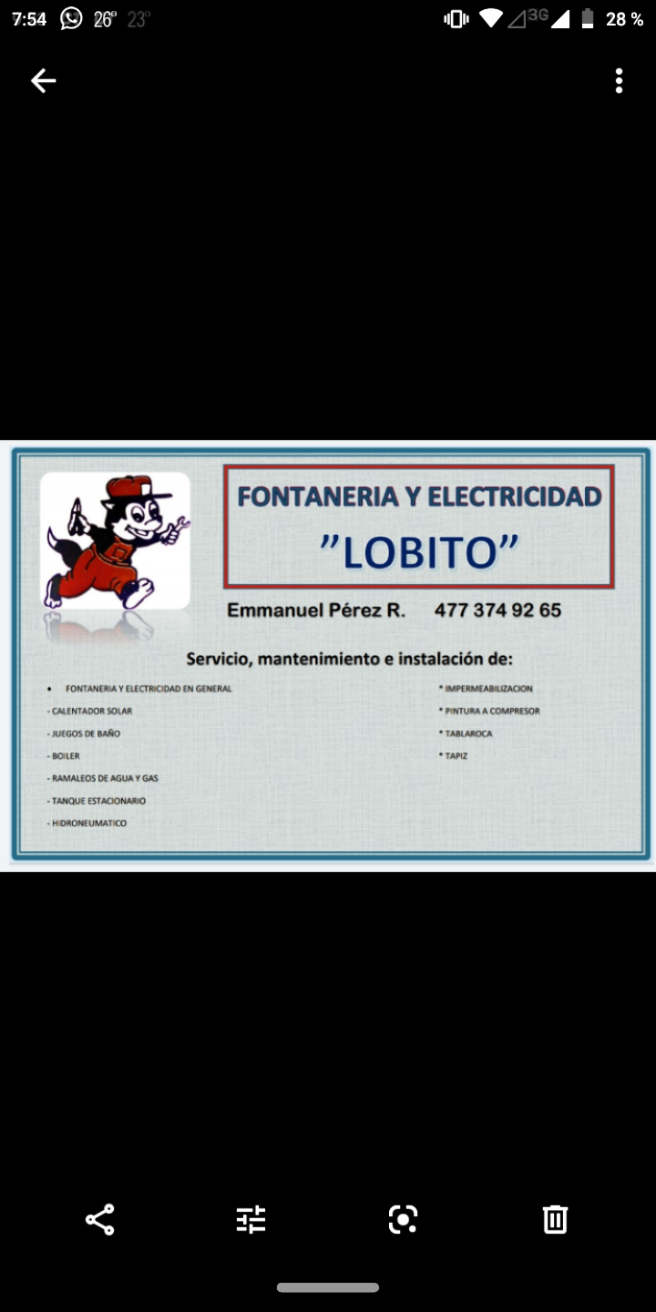 inbound8803377679593712504